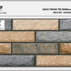 Gạch TTP25224