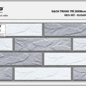 Gạch TTP25228