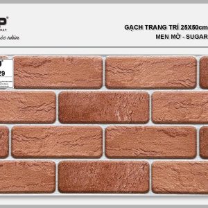 Gạch TTP25229
