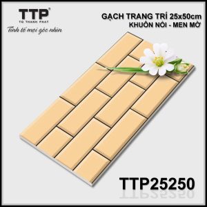 Gạch TTP25250