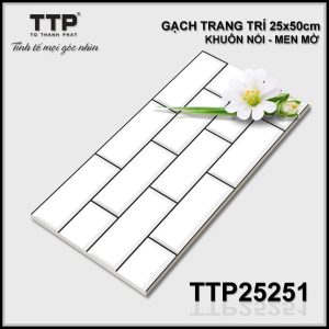 Gạch TTP25251