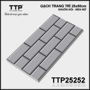 Gạch TTP25252