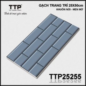 Gạch TTP25255