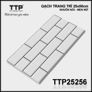 Gạch TTP25256