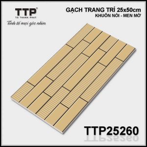 Gạch TTP25260