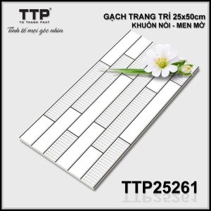 Gạch TTP25261