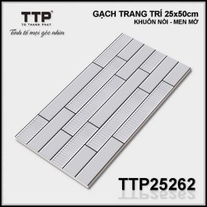 Gạch TTP25262