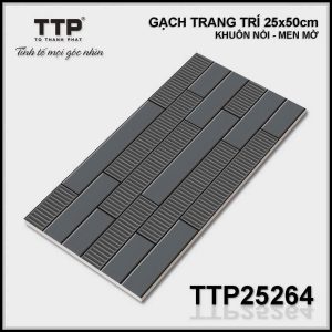 Gạch TTP25264
