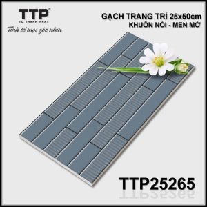 Gạch TTP25265