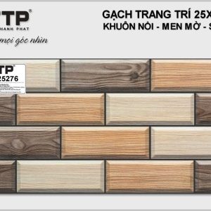 Gạch TTP25276