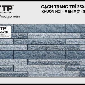 Gạch TTP25280