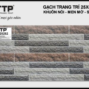 Gạch TTP25282