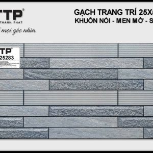 Gạch TTP25283