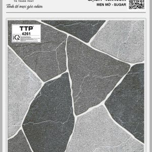Gạch TTP4261
