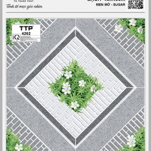 Gạch TTP4262
