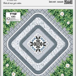 Gạch TTP4263