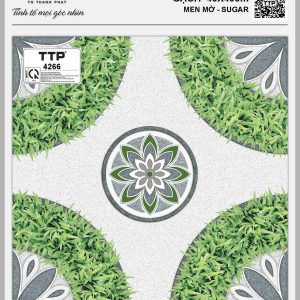Gạch TTP4266