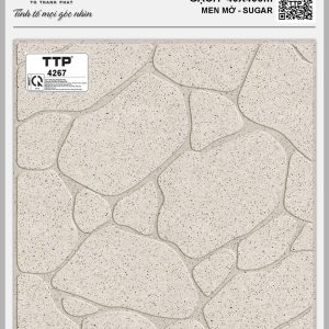 Gạch TTP4267