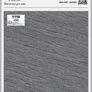 Gạch TTP4269
