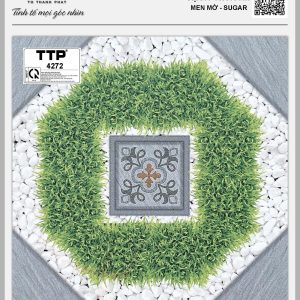 Gạch TTP4272