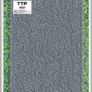 Gạch TTP4601