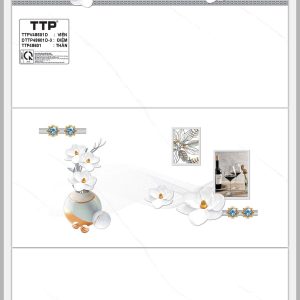 Gạch TTP A48601