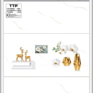 Gạch TTP A48602