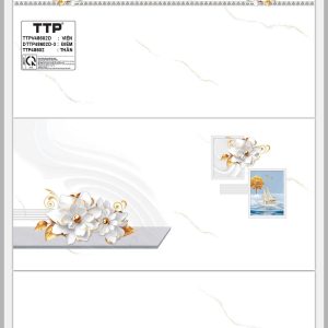 Gạch TTP A48602.D