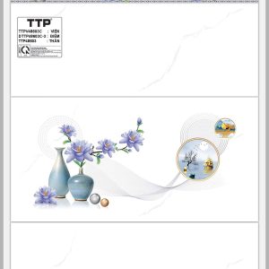 Gạch TTP A48603