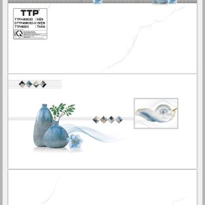 Gạch TTP A48603.D