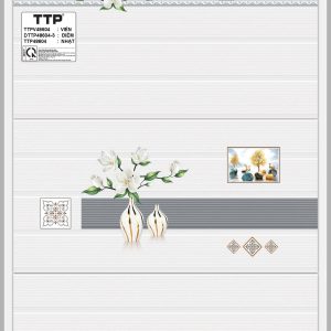 Gạch TTP A48604-3