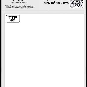 Gạch TTP601