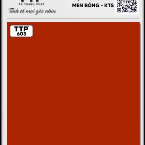 Gạch TTP603