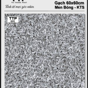 Gạch TTP 605