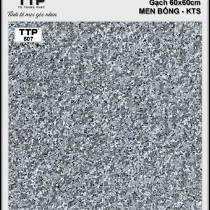Gạch TTP 607