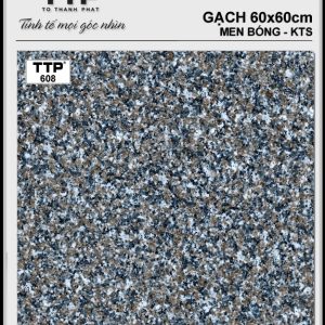 Gạch TTP 608