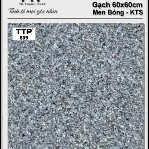 Gạch TTP 609