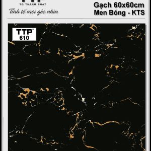 Gạch TTP610