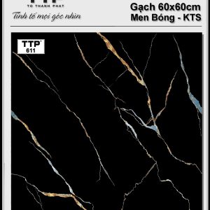 Gạch TTP611