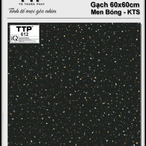 Gạch TTP612
