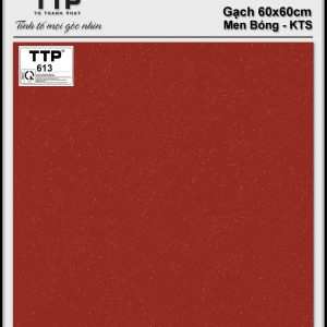 Gạch TTP 613