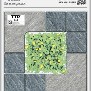 Gạch TTP 644