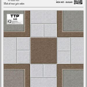 Gạch TTP 645