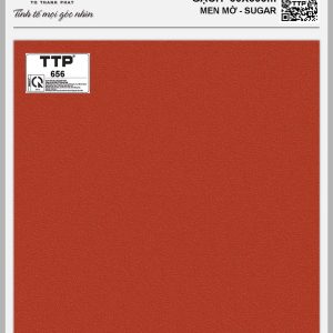 Gạch TTP656