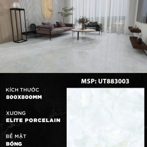 Gạch UT883003