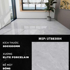 Gạch UT883004