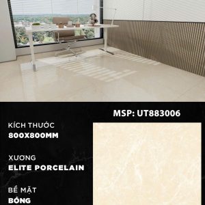 Gạch UT883006