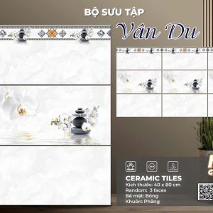Gạch S4803LR