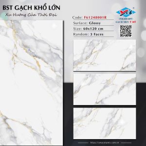 Gạch P61248001R
