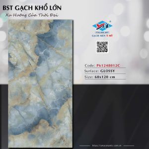 Gạch P61248012C